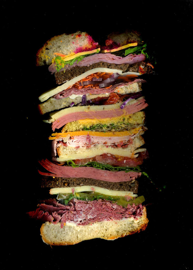 high quality cross-section sandwich scans by jon chonko scanwiches (9)