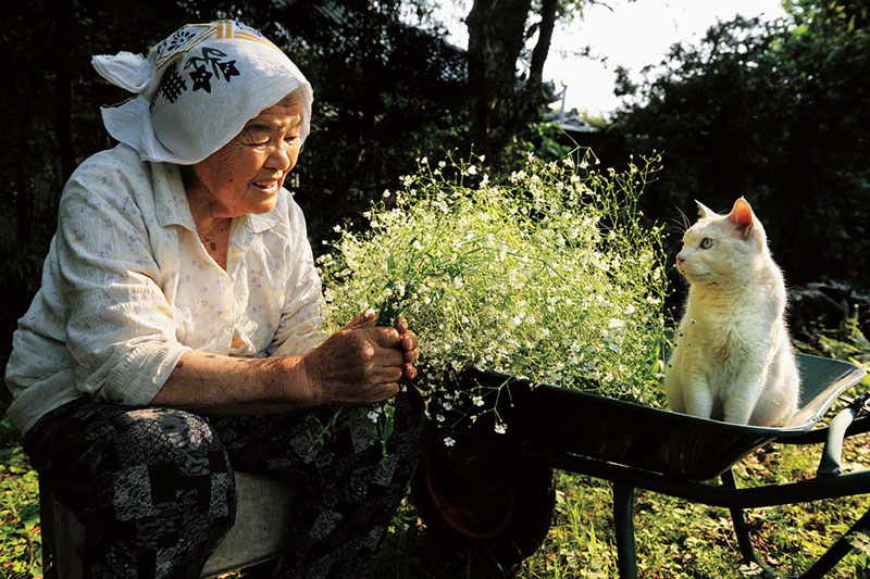 japanese grandma and her cat miyoko ihara (12)