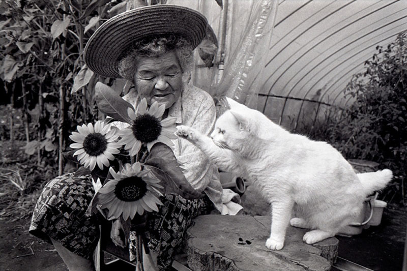 japanese grandma and her cat miyoko ihara (16)