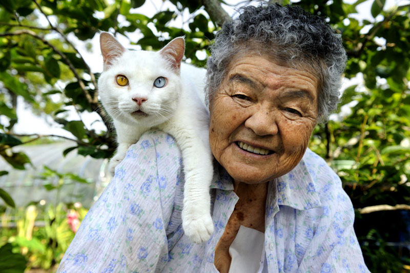 japanese grandma and her cat miyoko ihara (17)