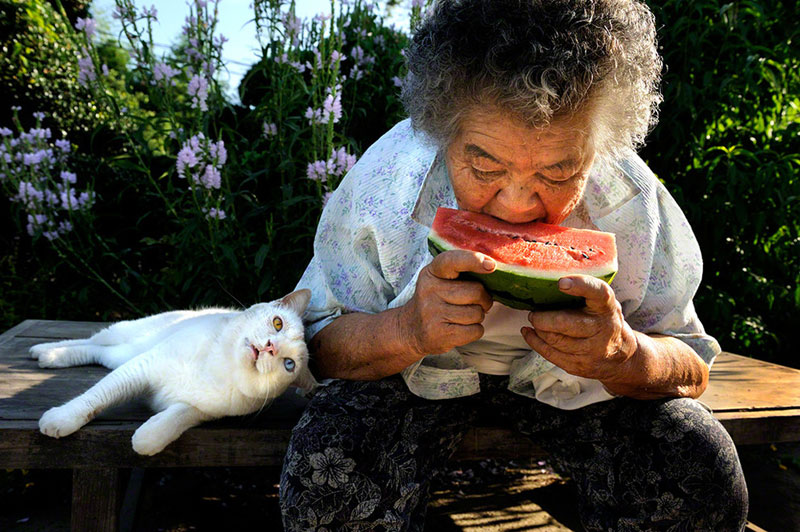 japanese grandma and her cat miyoko ihara (5)