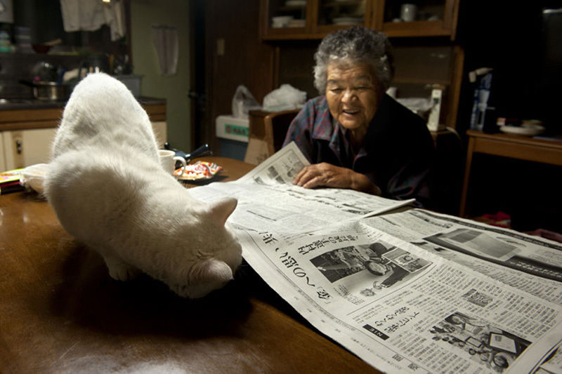japanese grandma and her cat miyoko ihara (6)