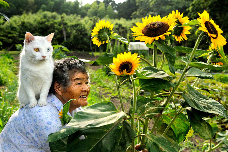 japanese grandma and her cat miyoko ihara 7 This Cat Loves to Stick its Tongue Out