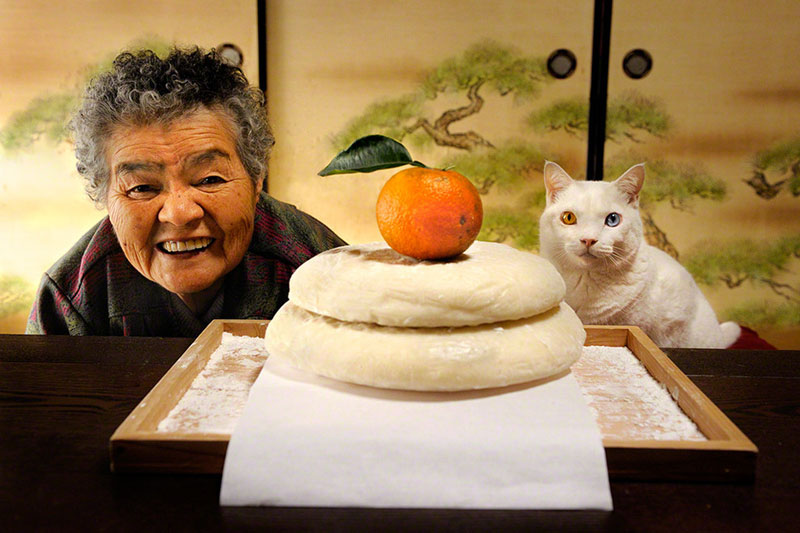 japanese grandma and her cat miyoko ihara 8 This Cats Chin Fur Makes Him Look Forever Surprised