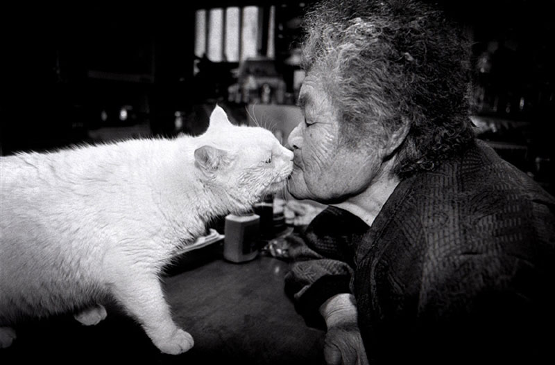 japanese grandma and her cat miyoko ihara (9)