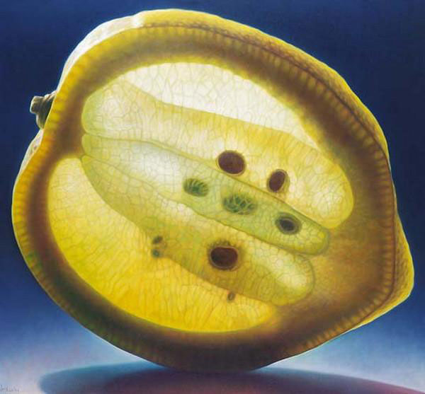 translucent oil paintings of fruit by Dennis Wojtkiewicz (6)