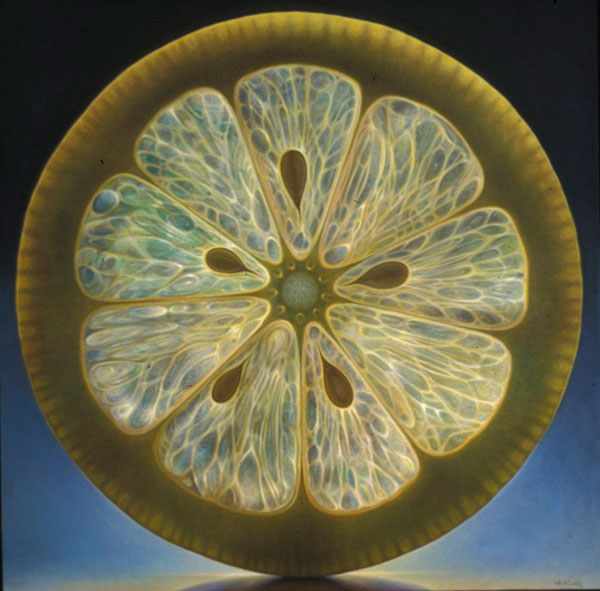 translucent oil paintings of fruit by Dennis Wojtkiewicz (9)