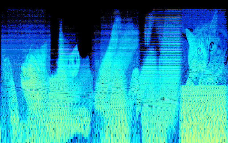 venetian_snares_look_songs-about-my-cats-hidden-secret-image-embedded in music spectrograpm