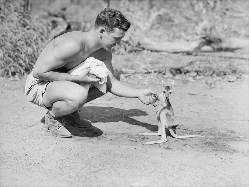 American-soldier-with-a-joey-1942
