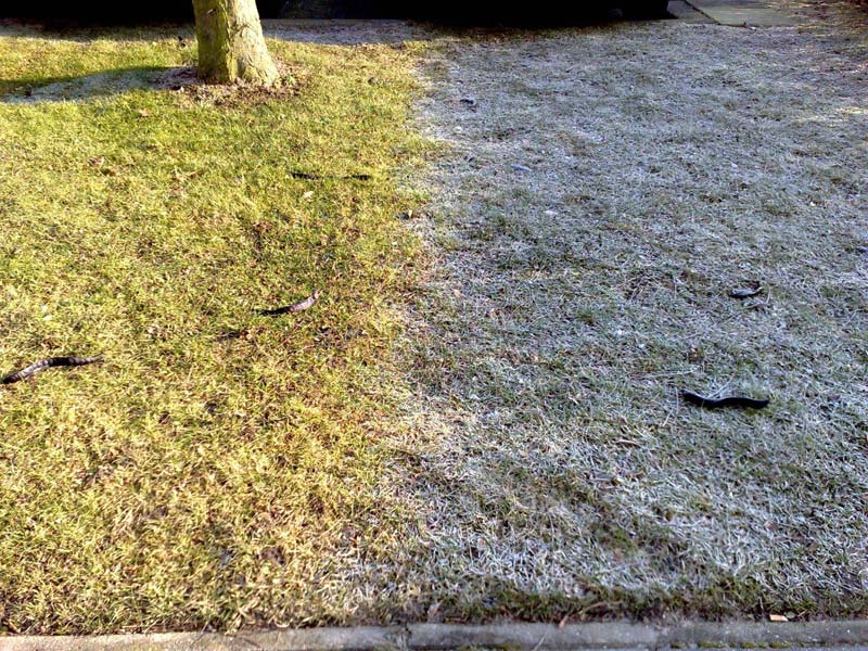 frost shadows (3)