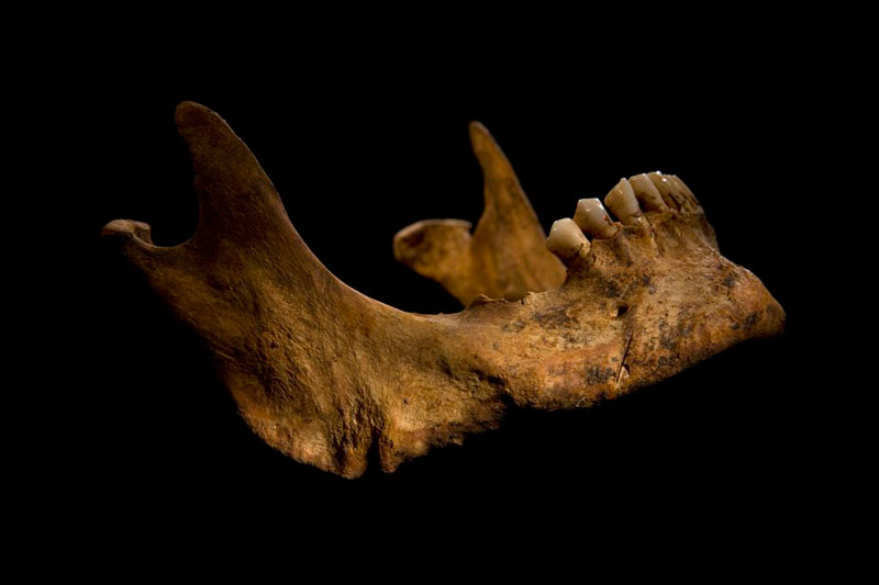 ing richard III skeleton bones body found university of leicester (11)