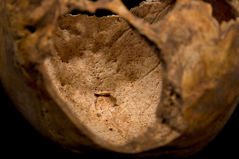 ing richard III skeleton bones body found university of leicester (13)