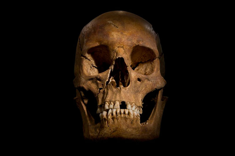 ing richard III skeleton bones body found university of leicester (14)