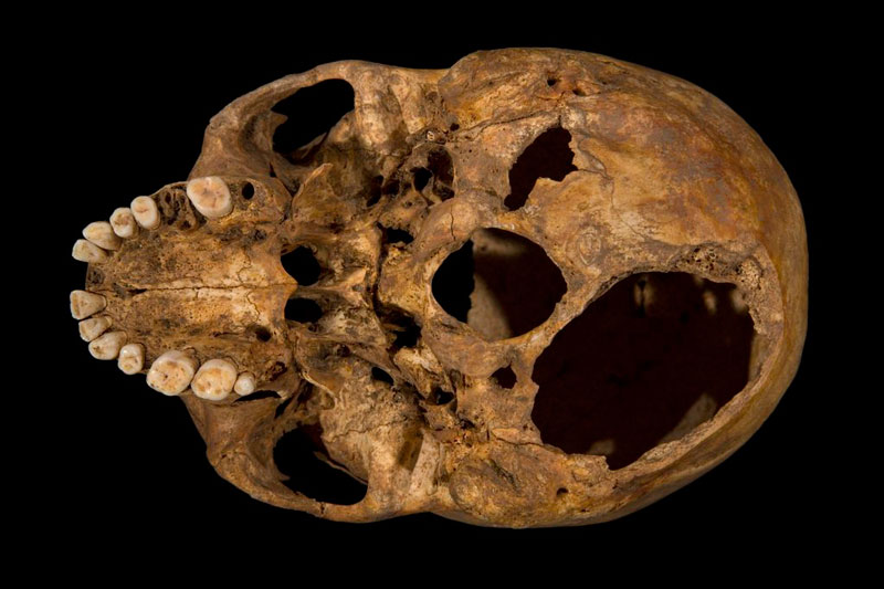 ing richard III skeleton bones body found university of leicester (16)