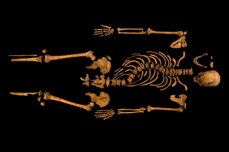 ing richard iii skeleton bones body found university of leicester 22 Revealing the Contents of a 100 year old Time Capsule