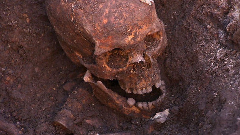 ing richard III skeleton bones body found university of leicester (7)