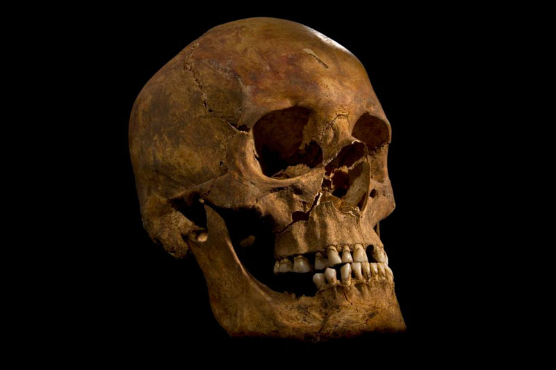 ing richard III skeleton bones body found university of leicester (8)