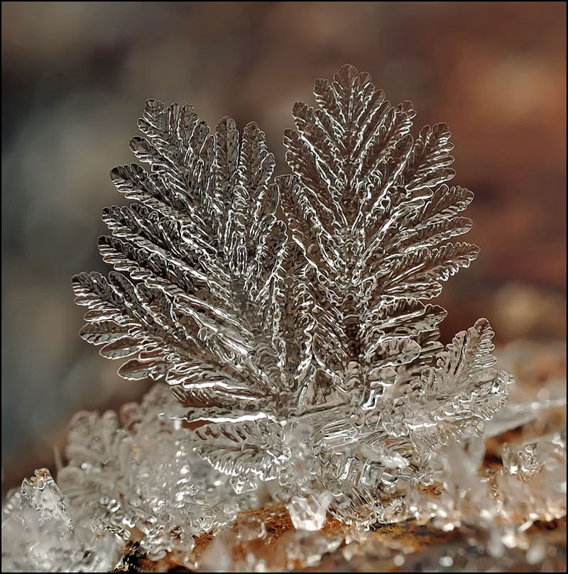 macro photograph of a snowflake by andrew osokin (6)