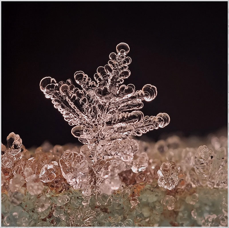 macro photograph of a snowflake by andrew osokin (7)