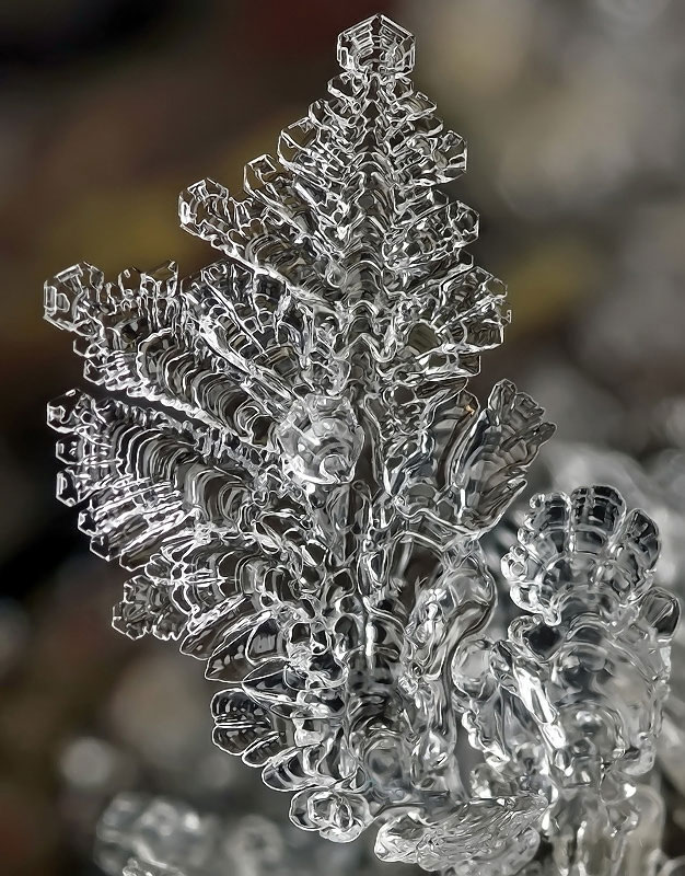 macro photograph of a snowflake by andrew osokin (8)