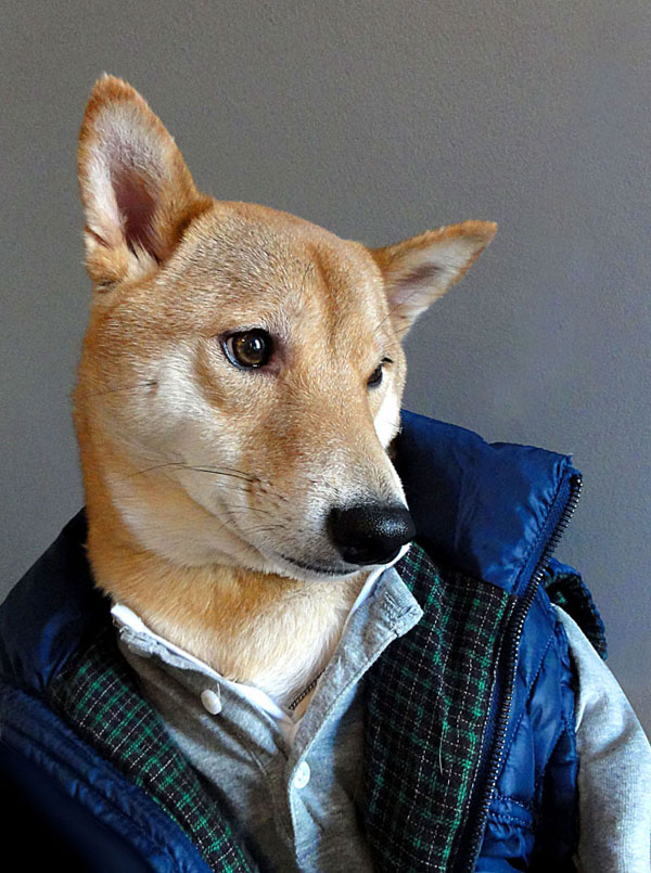 menswear dog dressed in clothes fashion look book 1 Meet Ali, the Worlds Most Dapper 83 Year Old