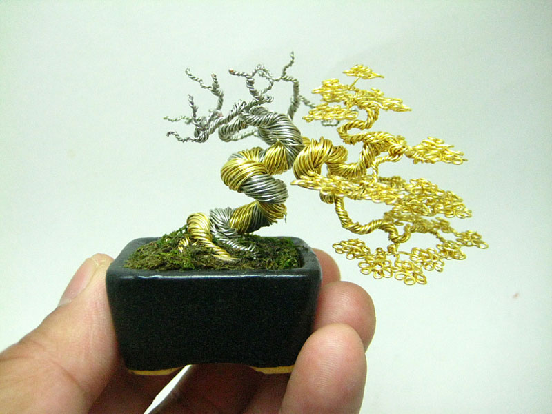 miniature wire bonsai tree by ken to 7 Bonsai Versions of the Worlds Tallest Tree