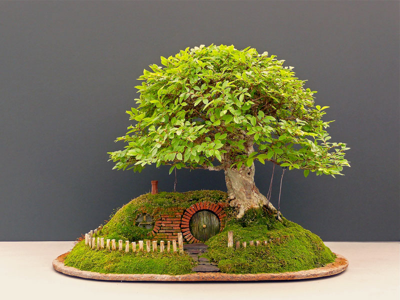 bonsai baggins hobbit home by chris guise (1)