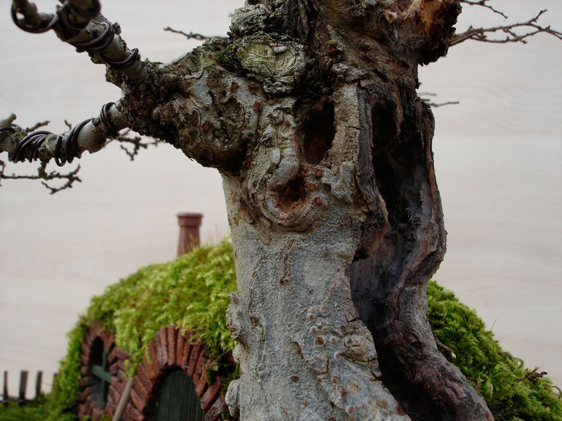 bonsai baggins hobbit home by chris guise (10)