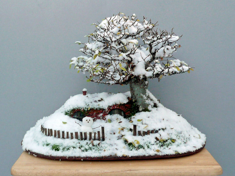 bonsai baggins hobbit home by chris guise (2)