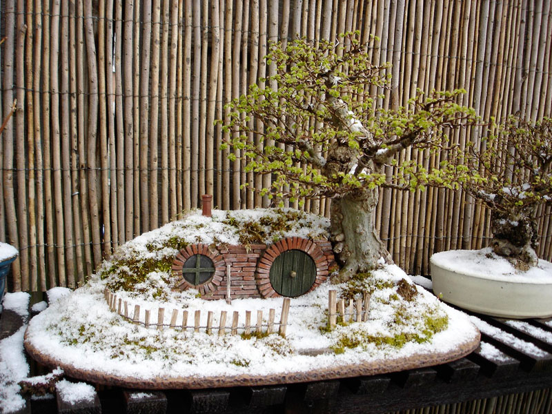bonsai baggins hobbit home by chris guise (6)
