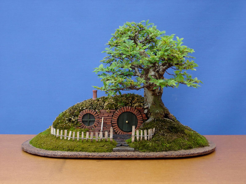 bonsai baggins hobbit home by chris guise (8)