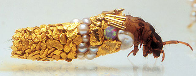caddisfly-larvae-art-gold-case-hubert-duprat-(1)