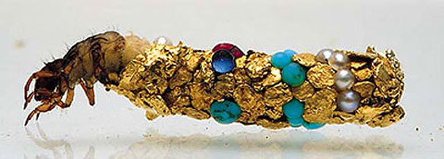 caddisfly-larvae-art-gold-case-hubert-duprat-(2)