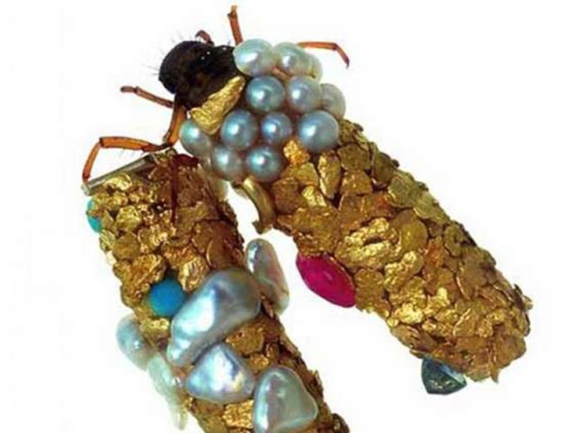 caddisfly-larvae-art-gold-case-hubert-duprat-(5)