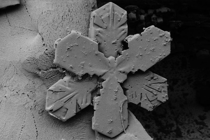 Hexagonal-snow-crystal-with-broad-branches,-composed-of-2-offset-3-branched-snow-crystals