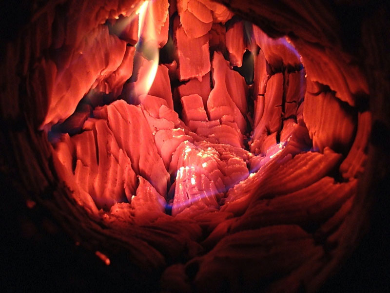 inside of a firelog Picture of the Day: Inside a Firelog