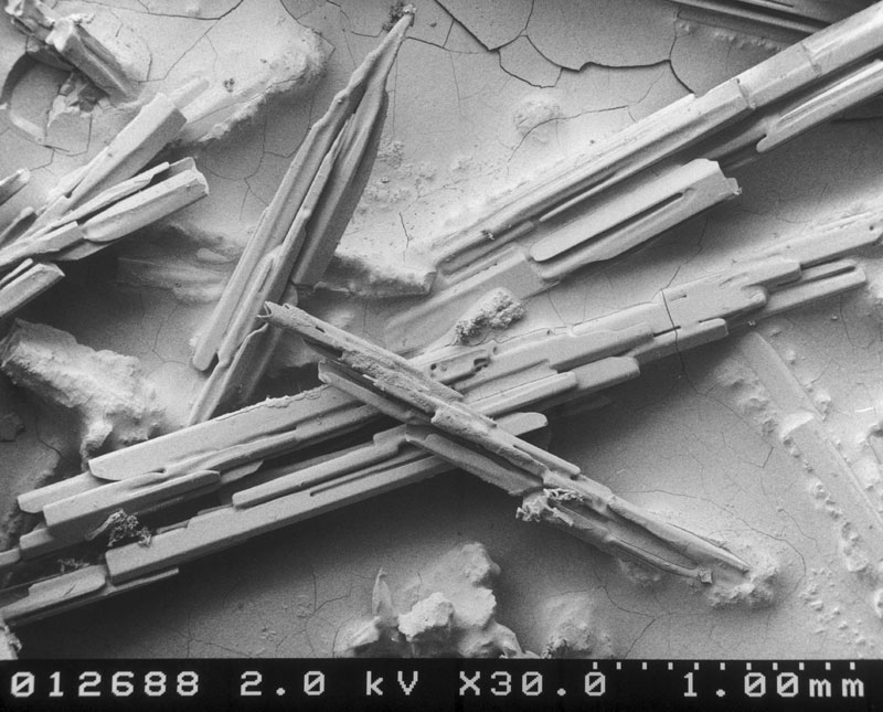 microscopic snow crystals (1)
