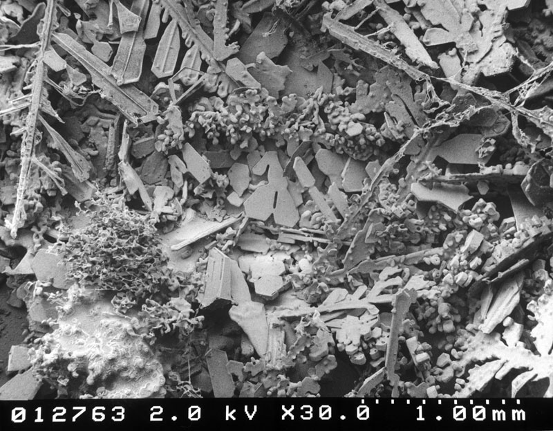microscopic snow crystals (2)