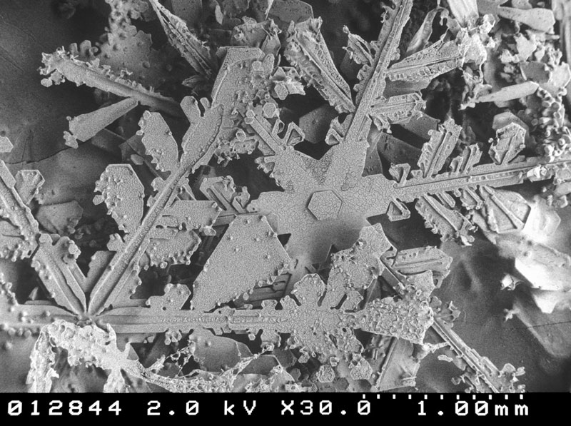 microscopic snow crystals (3)