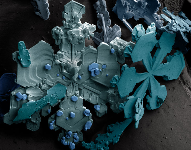 snow crystals Self Assembling Nano Flowers Grown in Lab
