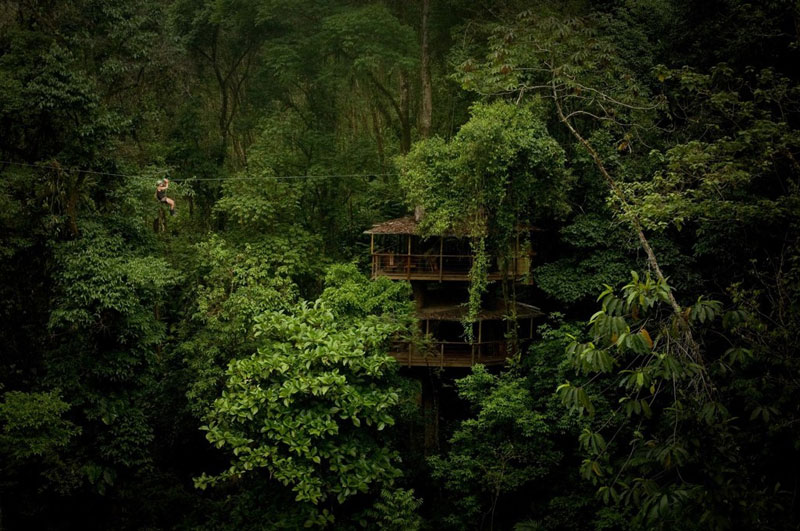 treehouse resort in costa rica finca bellavista 1 A Hollow House in the Woods