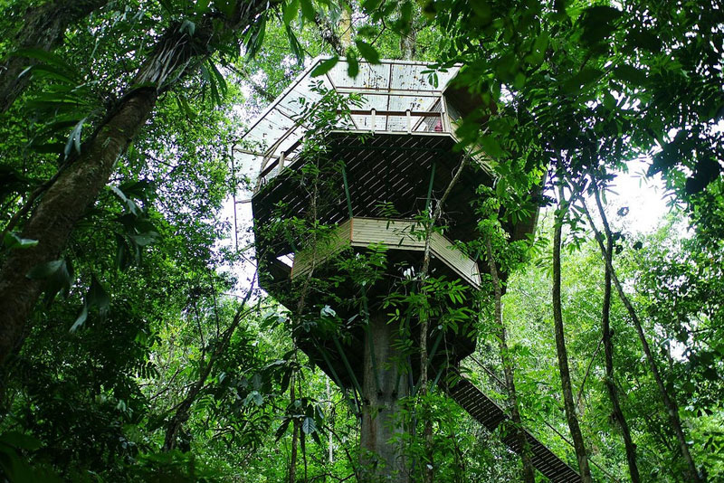 treehouse resort in costa rica finca bellavista (8)