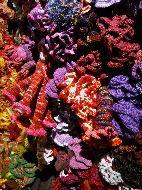 crocheted coral reefs (12)