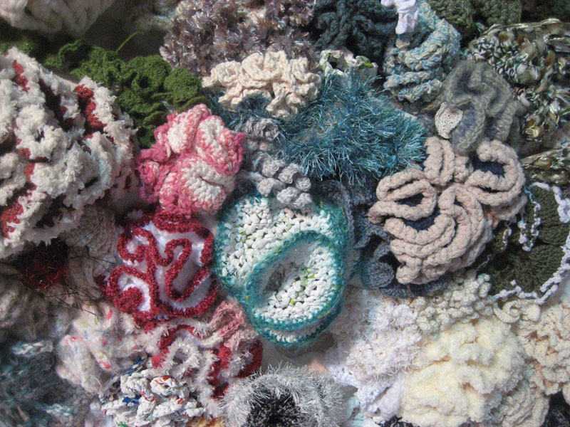 crocheted coral reefs (4)