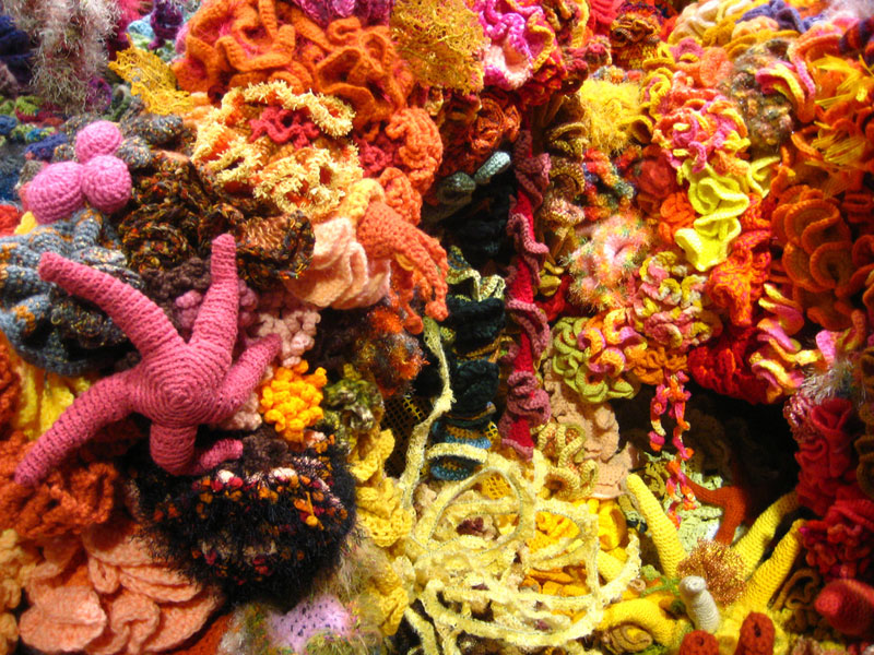 crocheted coral reefs (7)