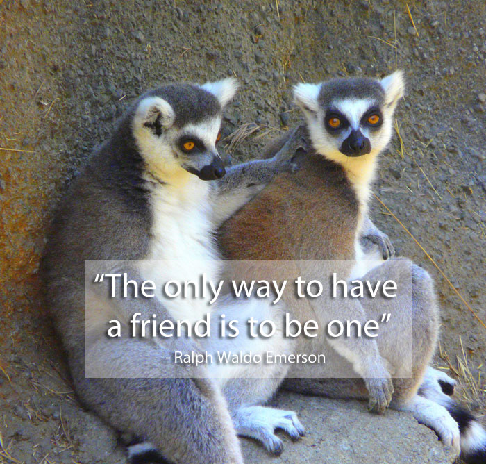 be a friend quote 15 Famous Quotes on Friendship