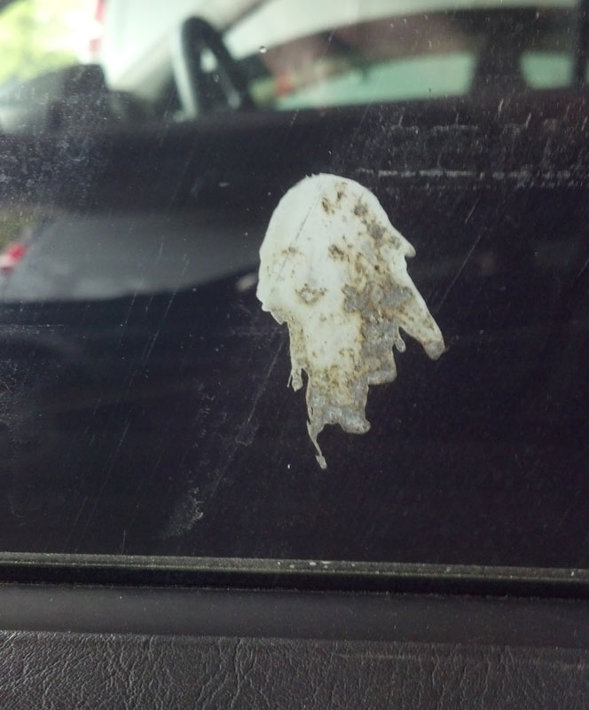 bird poop looks like a woman 50 Faces in Everyday Objects