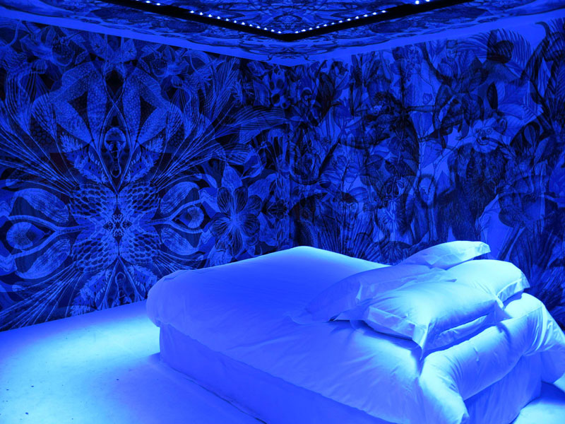 carnovsky dreambox maison and objet 2012 rgb mural (4)