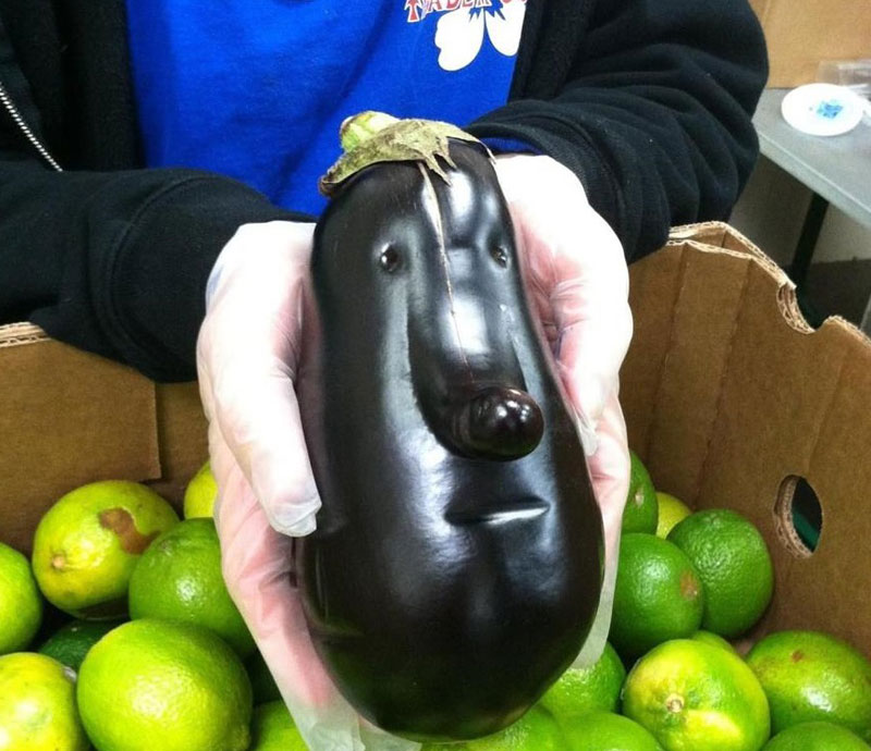 eggplant face 50 Faces in Everyday Objects