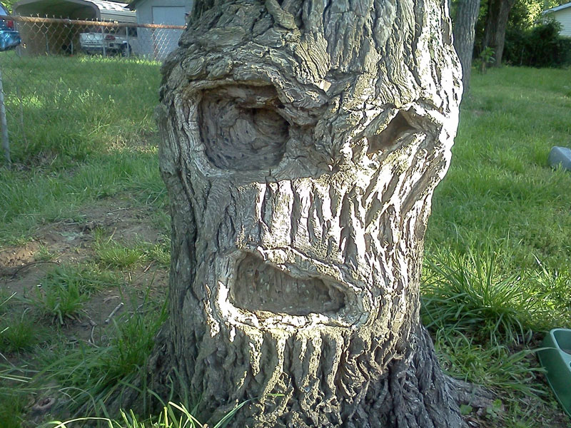 grumpy tree get off my lawn 50 Faces in Everyday Objects